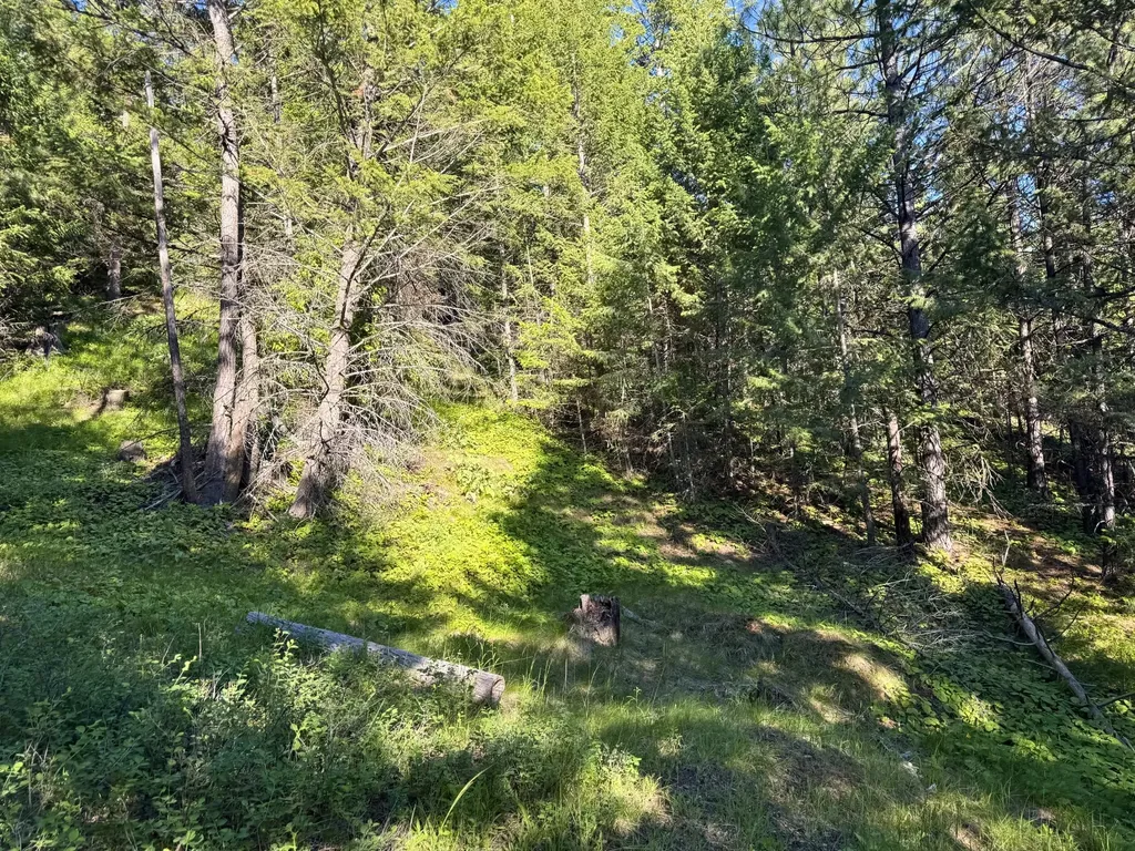 1895 Kienas Road Kalispell MT 59901