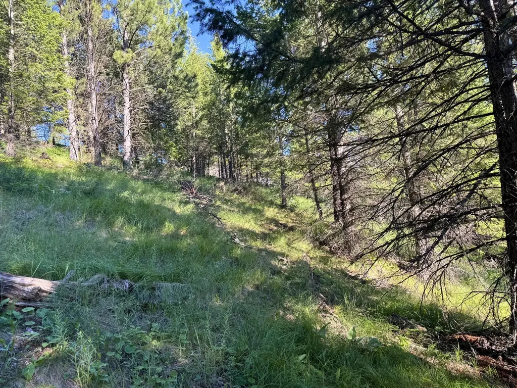 1895 Kienas Road Kalispell MT 59901
