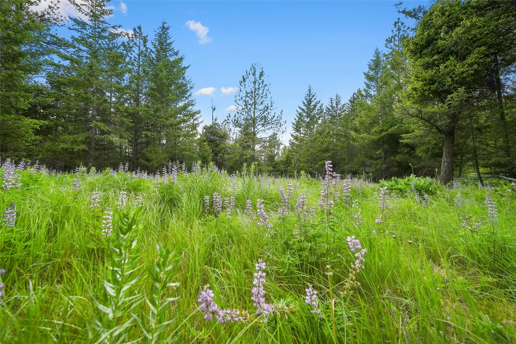1895 Kienas Road Kalispell MT 59901