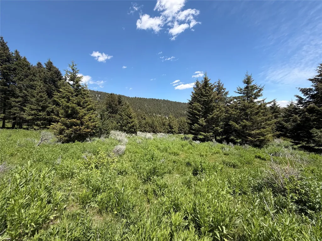Nhn Castle Town White Sulphur Springs MT 59645