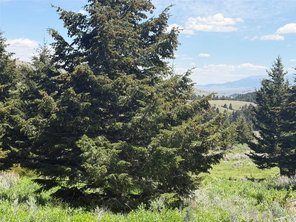 Nhn Castle Town White Sulphur Springs MT 59645
