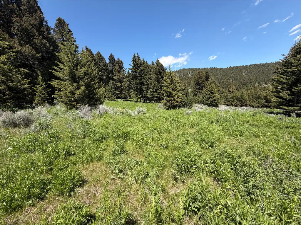 Nhn Castle Town White Sulphur Springs MT 59645