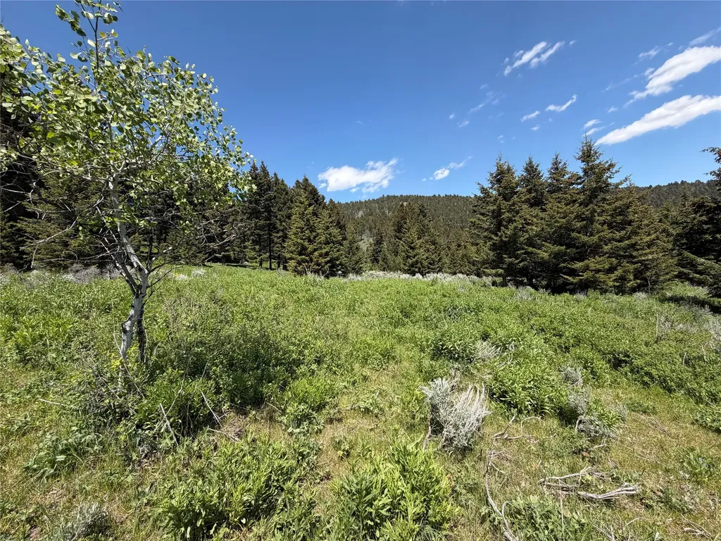 Nhn Castle Town White Sulphur Springs MT 59645