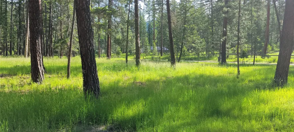 47571 Glacier Lily Lane Ronan MT 59864