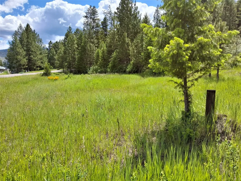 Lot 5 Tami Drive E Superior MT 59872