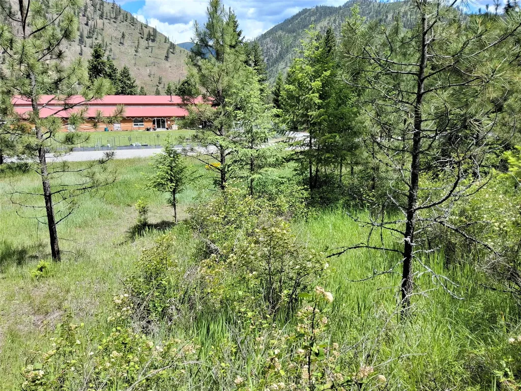 Lot 5 Tami Drive E Superior MT 59872