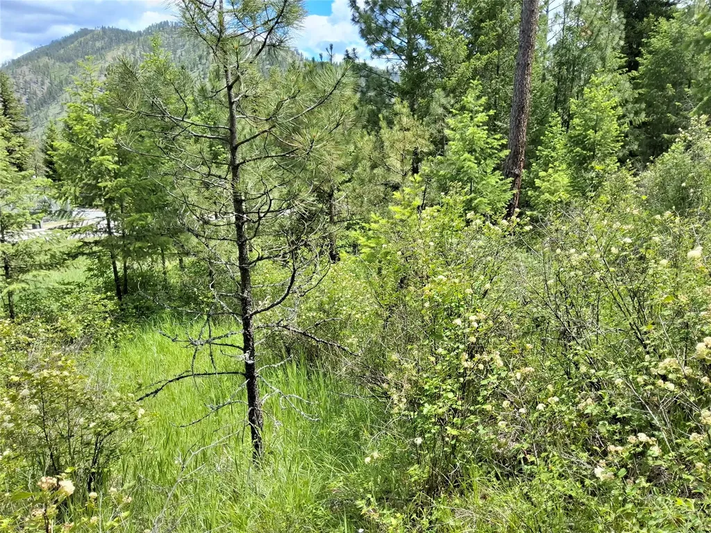 Lot 5 Tami Drive E Superior MT 59872