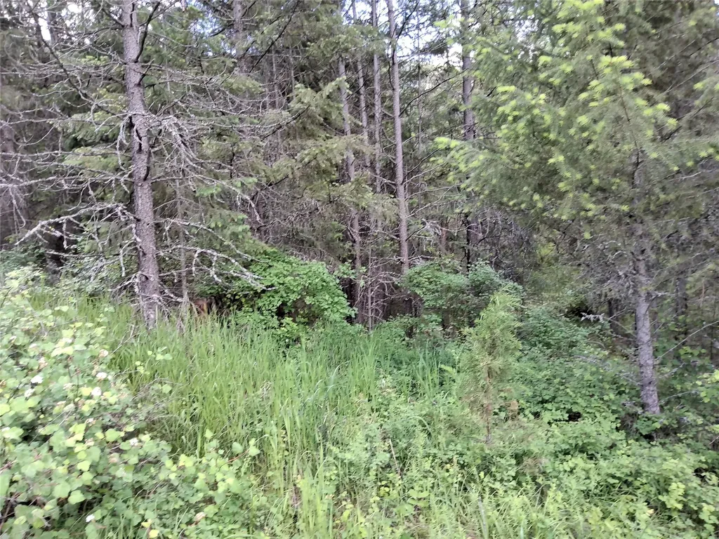 Lot 5 Tami Drive E Superior MT 59872