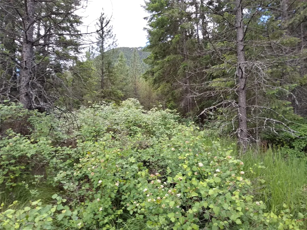 Lot 5 Tami Drive E Superior MT 59872