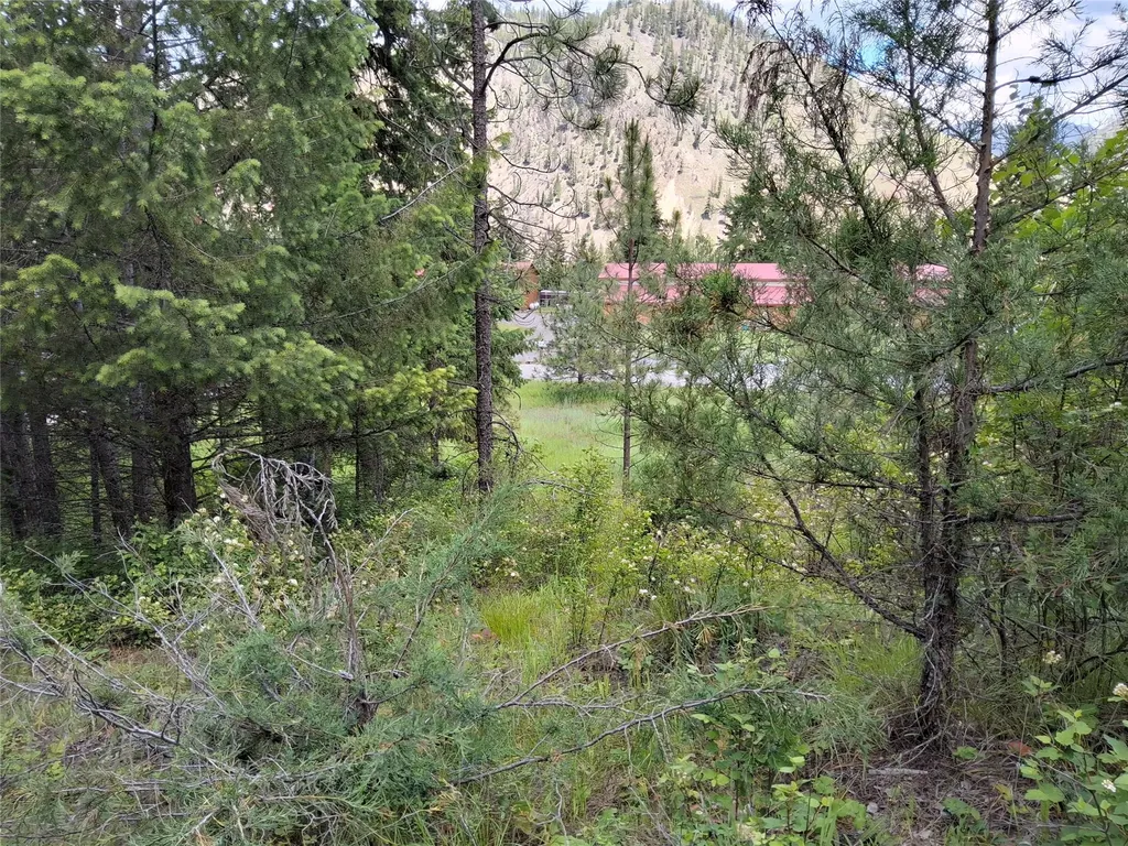 Lot 5 Tami Drive E Superior MT 59872