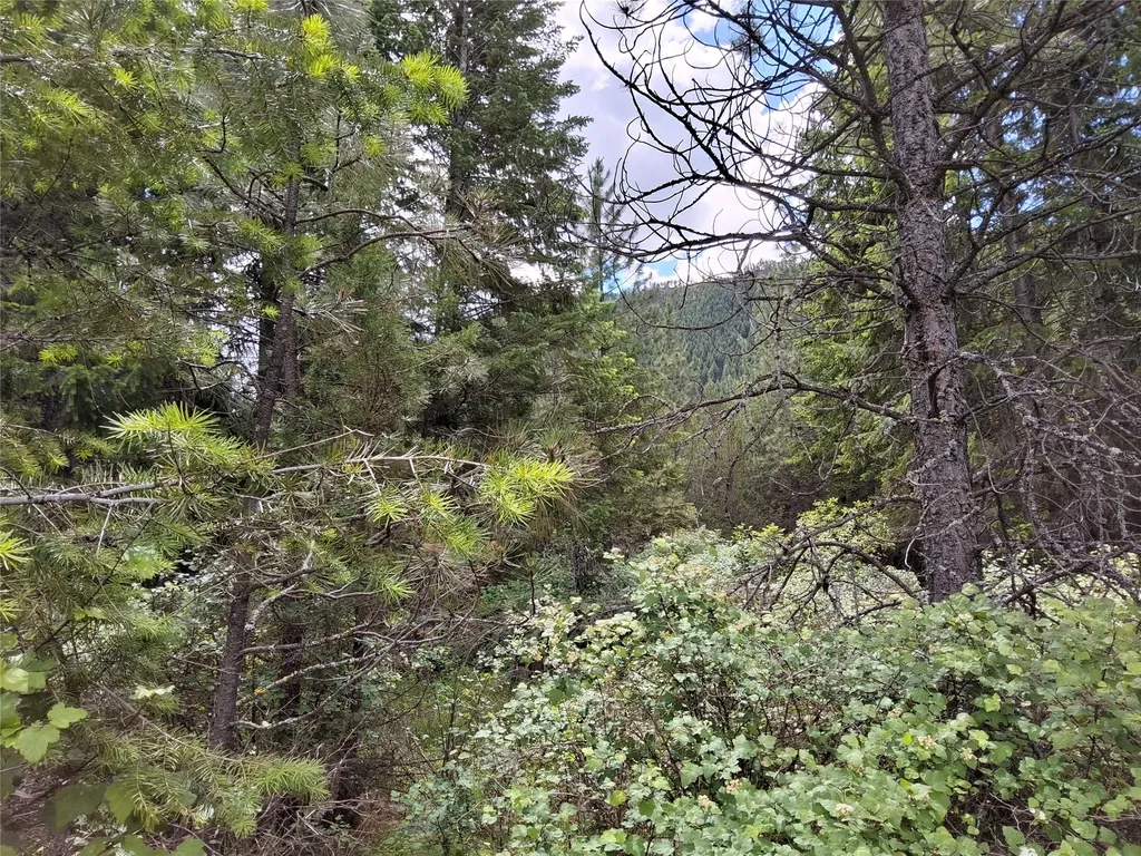 Lot 5 Tami Drive E Superior MT 59872