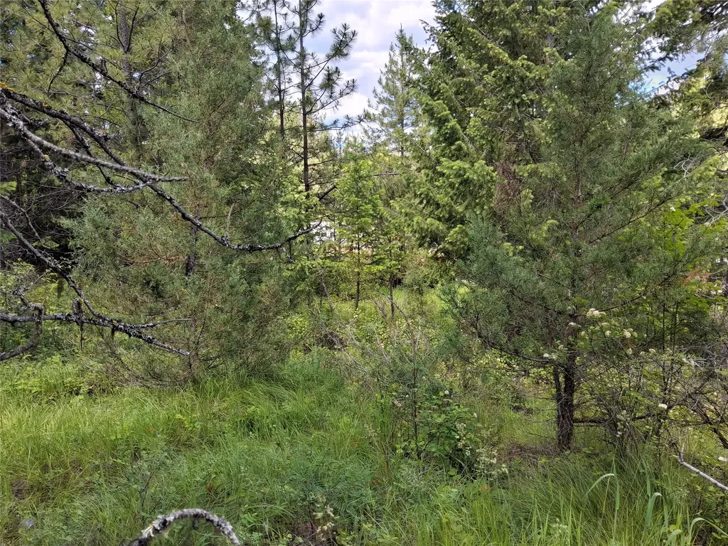 Lot 5 Tami Drive E Superior MT 59872