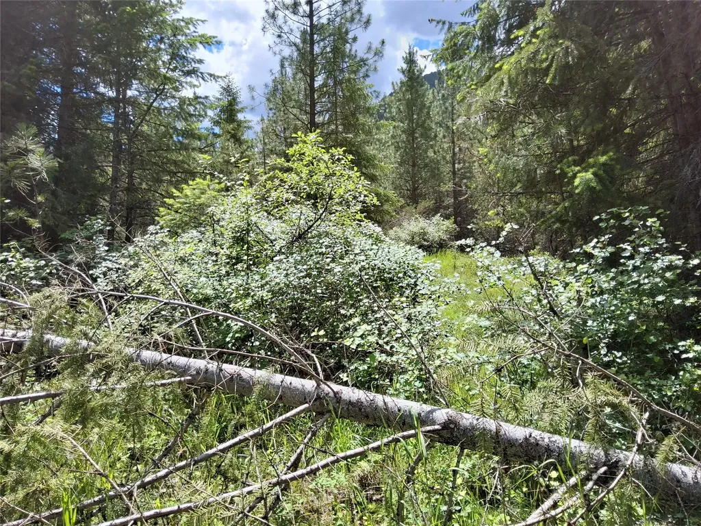 Lot 5 Tami Drive E Superior MT 59872