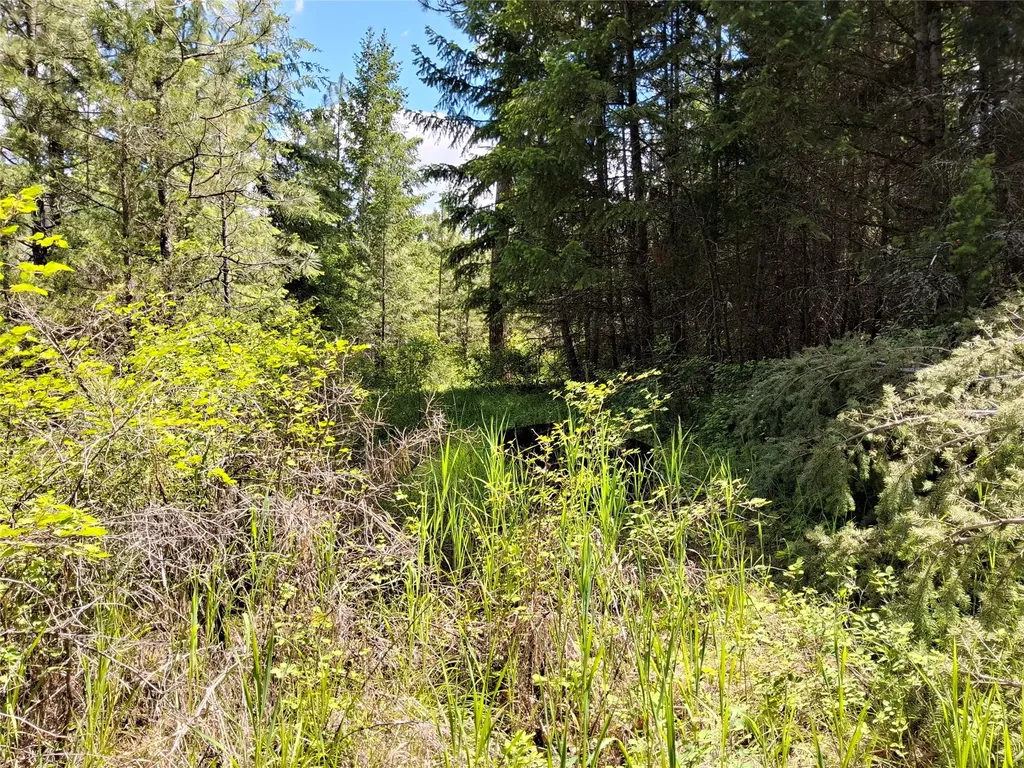 Lot 5 Tami Drive E Superior MT 59872