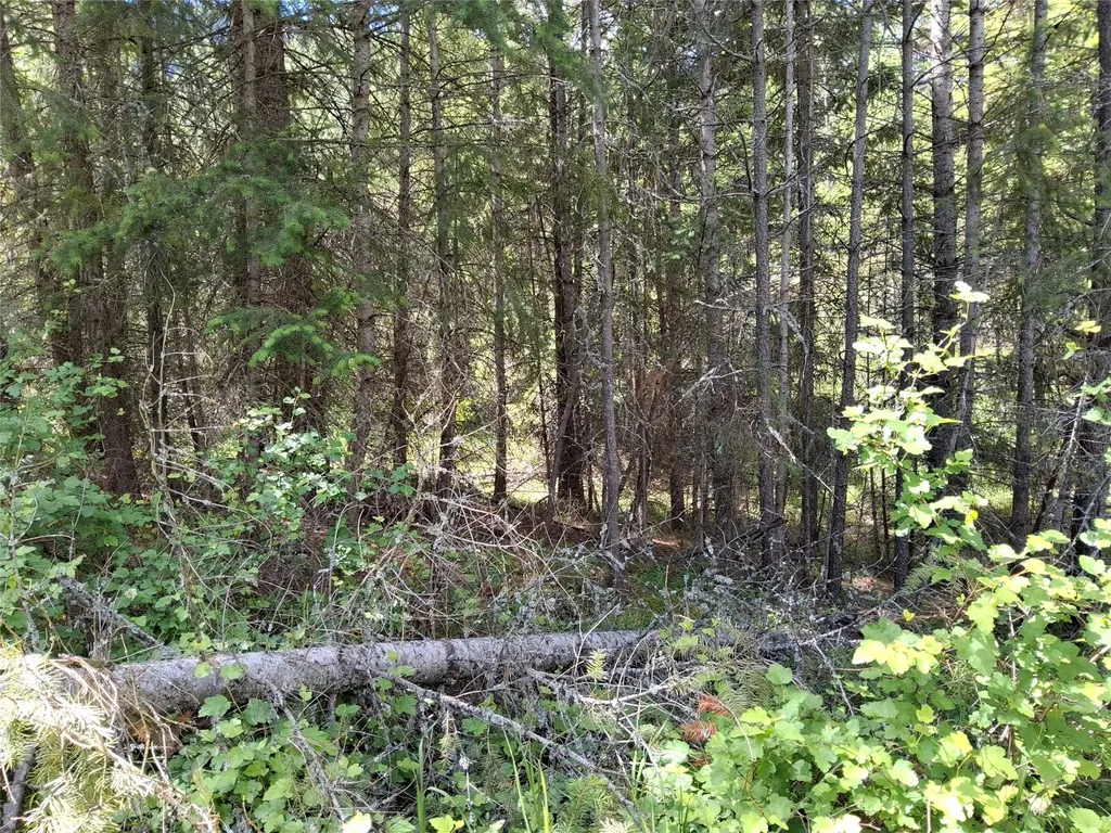 Lot 5 Tami Drive E Superior MT 59872