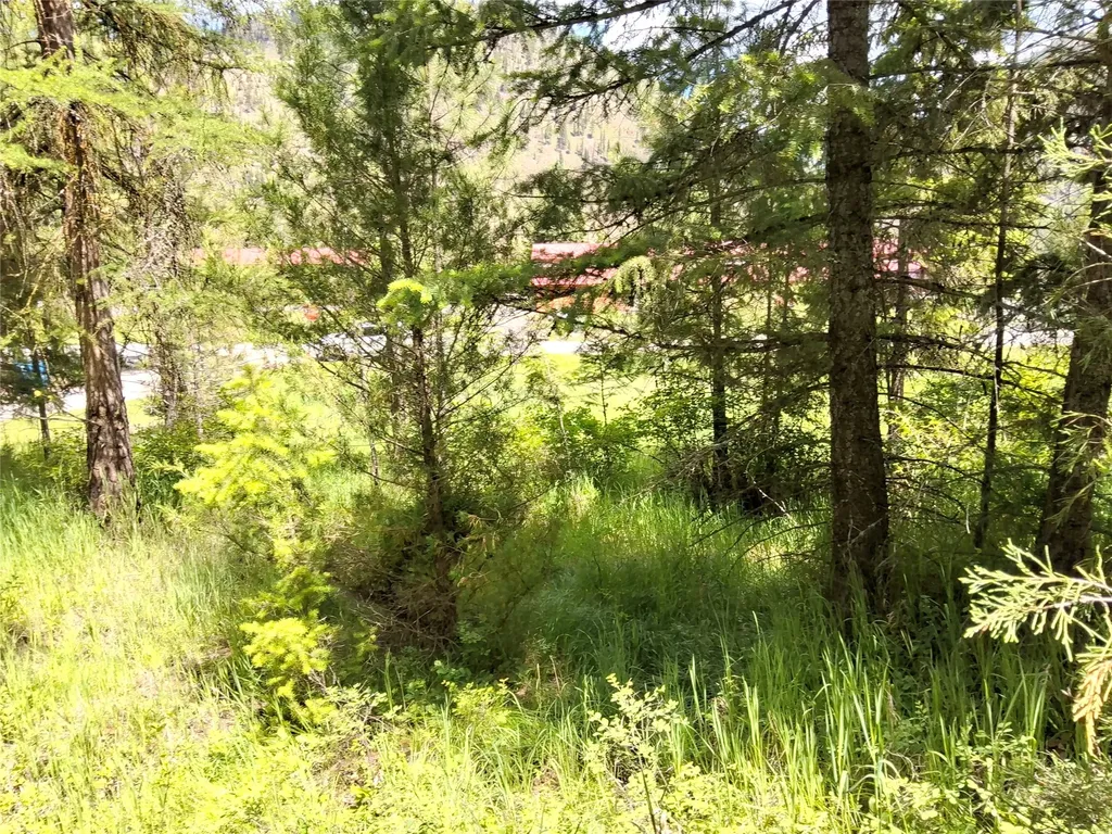 Lot 5 Tami Drive E Superior MT 59872