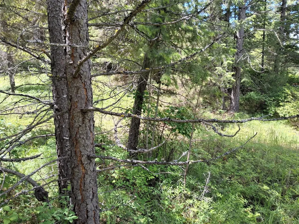 Lot 5 Tami Drive E Superior MT 59872