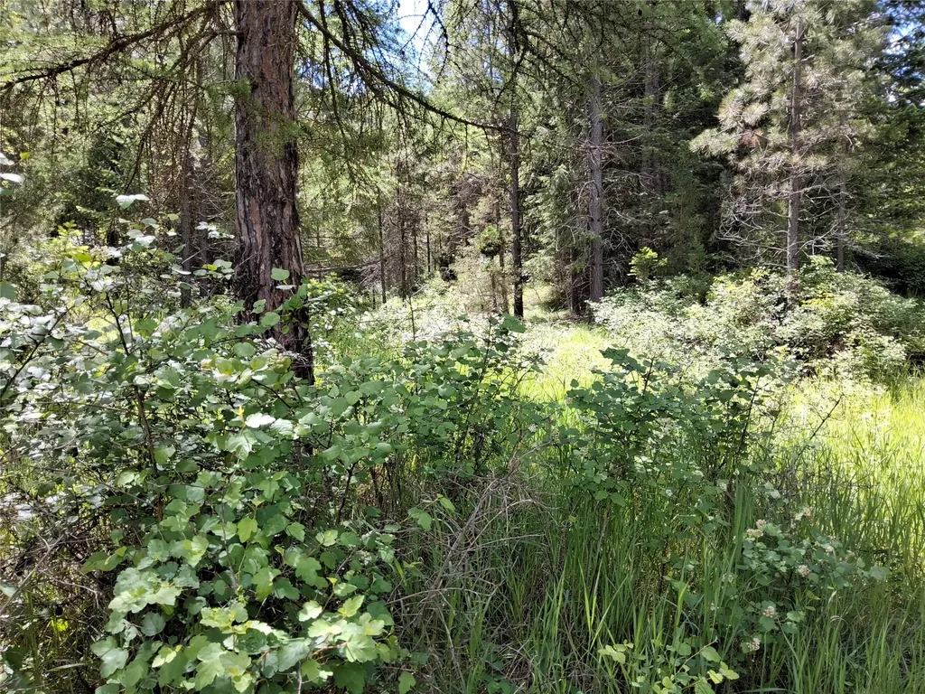 Lot 5 Tami Drive E Superior MT 59872