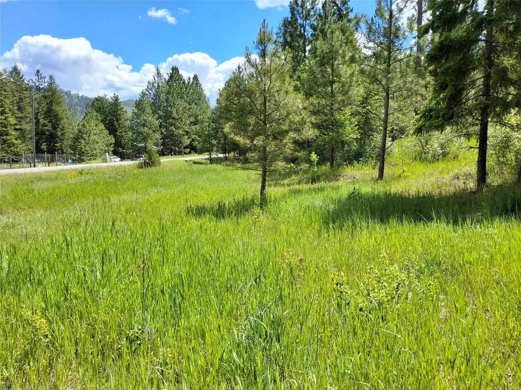 Lot 5 Tami Drive E Superior MT 59872