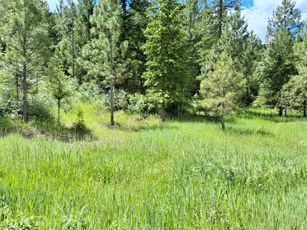 Lot 5 Tami Drive E Superior MT 59872