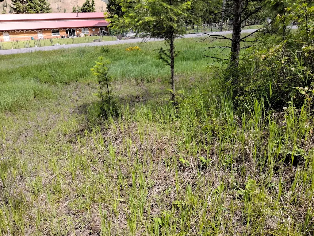 Lot 5 Tami Drive E Superior MT 59872