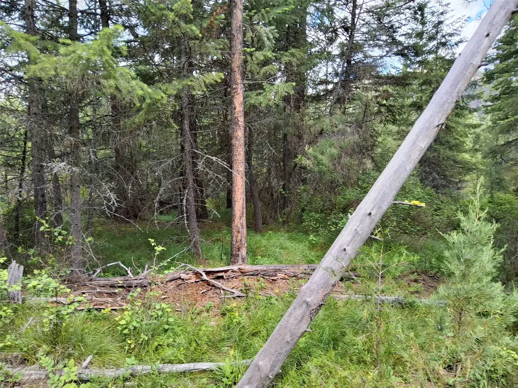 746 Tami Drive E Superior MT 59872