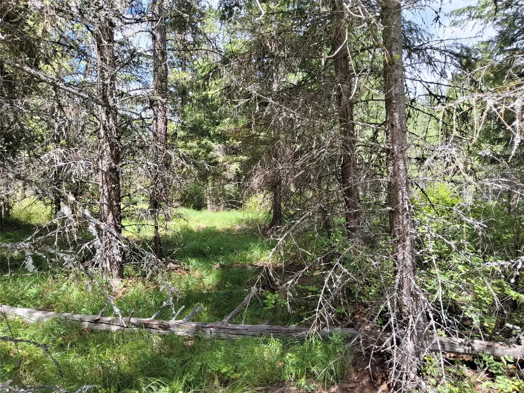 746 Tami Drive E Superior MT 59872
