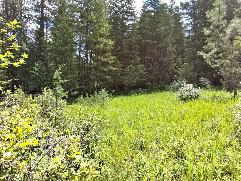 746 Tami Drive E Superior MT 59872