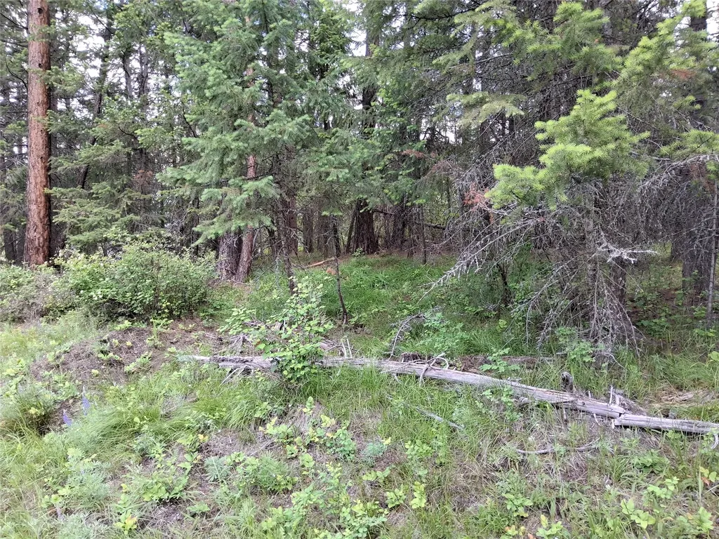 746 Tami Drive E Superior MT 59872