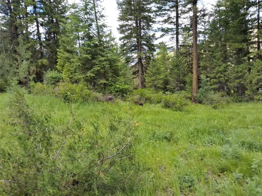 746 Tami Drive E Superior MT 59872