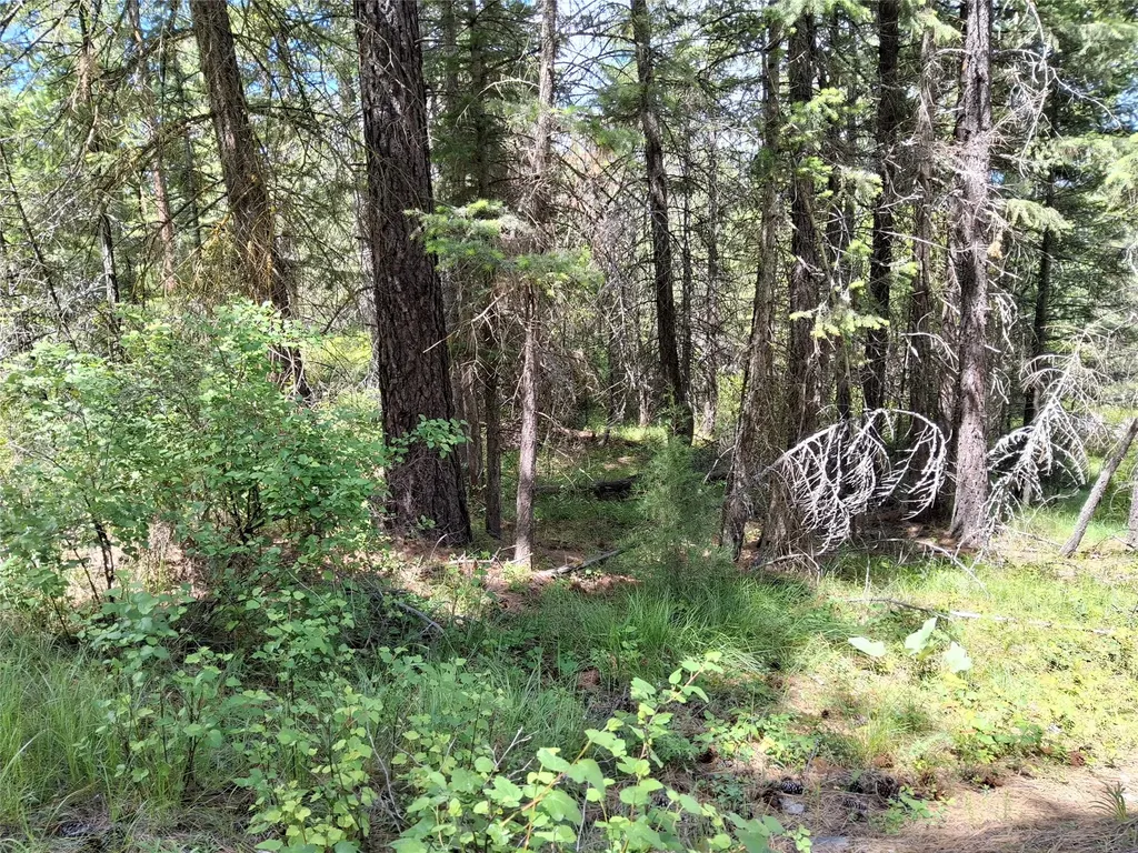 746 Tami Drive E Superior MT 59872