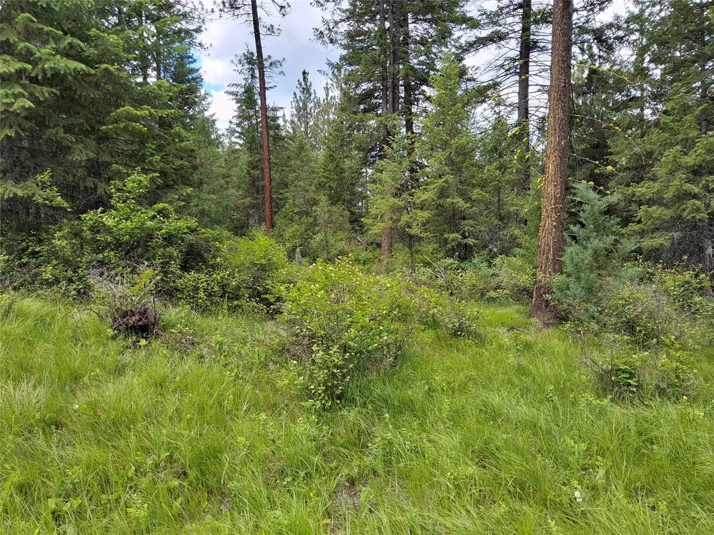 746 Tami Drive E Superior MT 59872