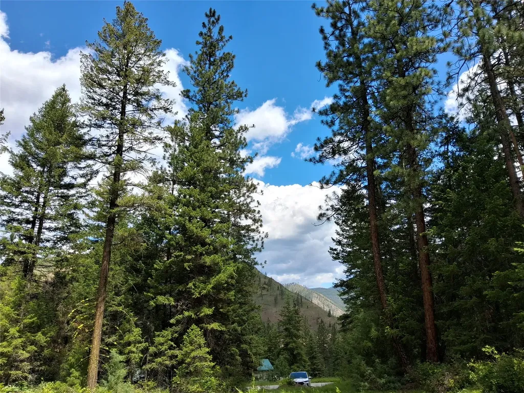 746 Tami Drive E Superior MT 59872