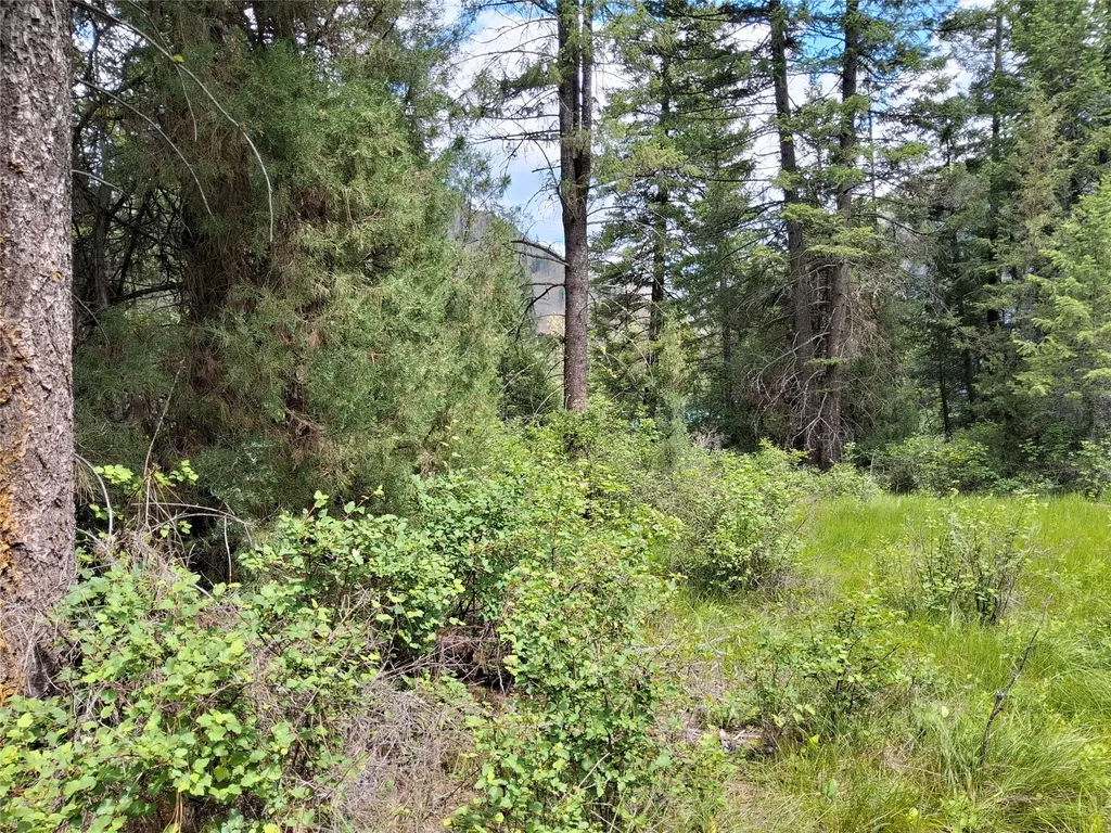 746 Tami Drive E Superior MT 59872