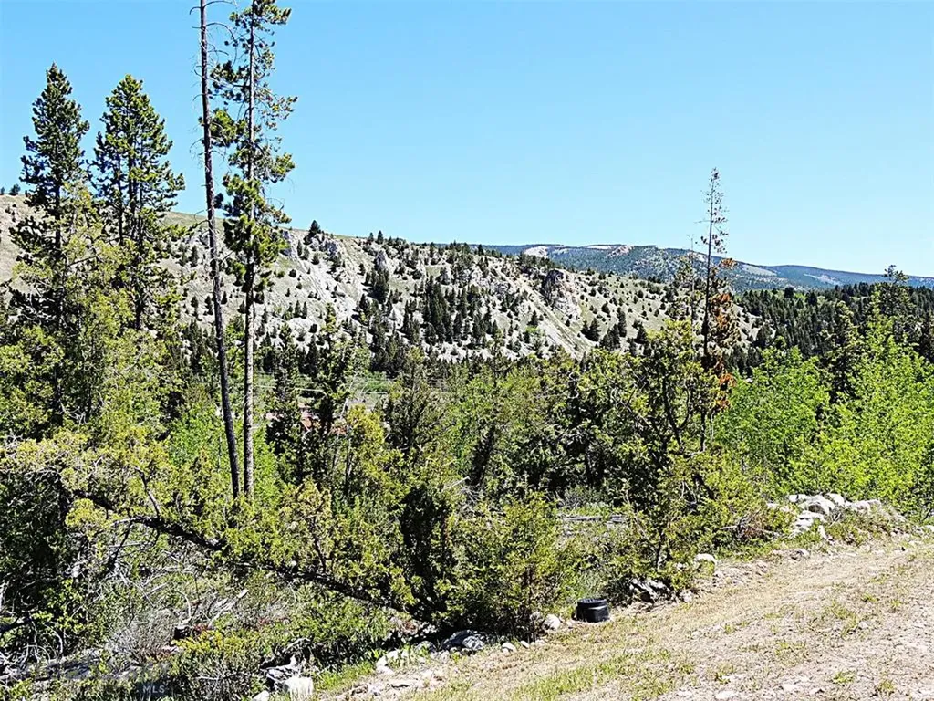 261 Kanduch Road Anaconda MT 59711