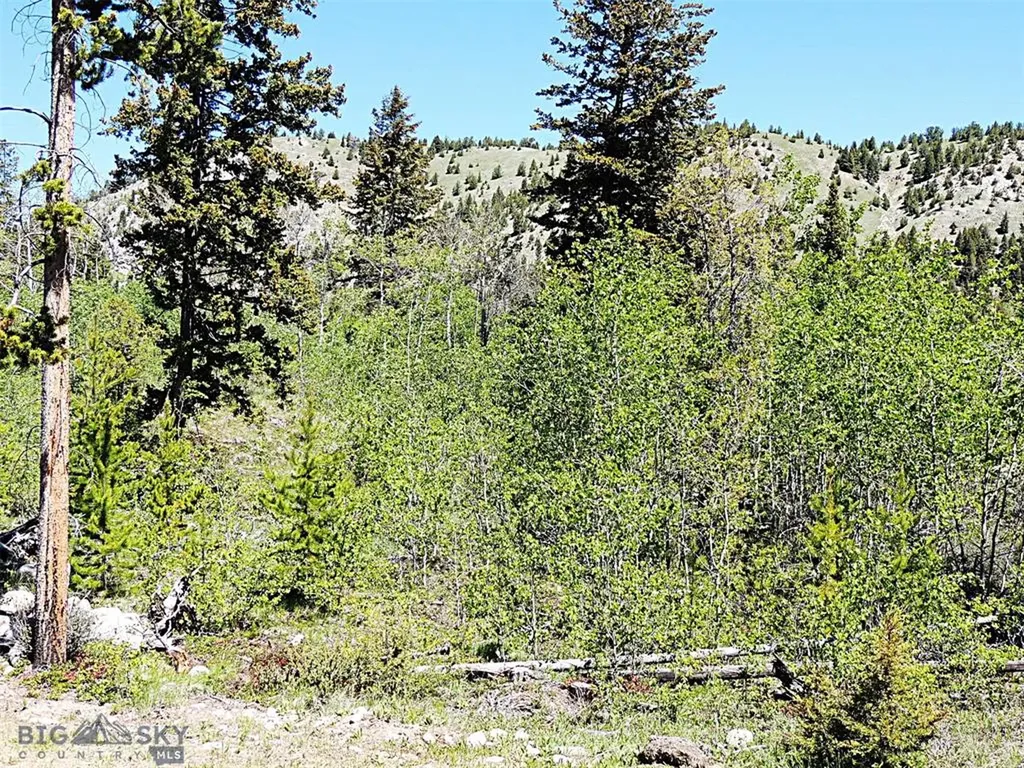 261 Kanduch Road Anaconda MT 59711