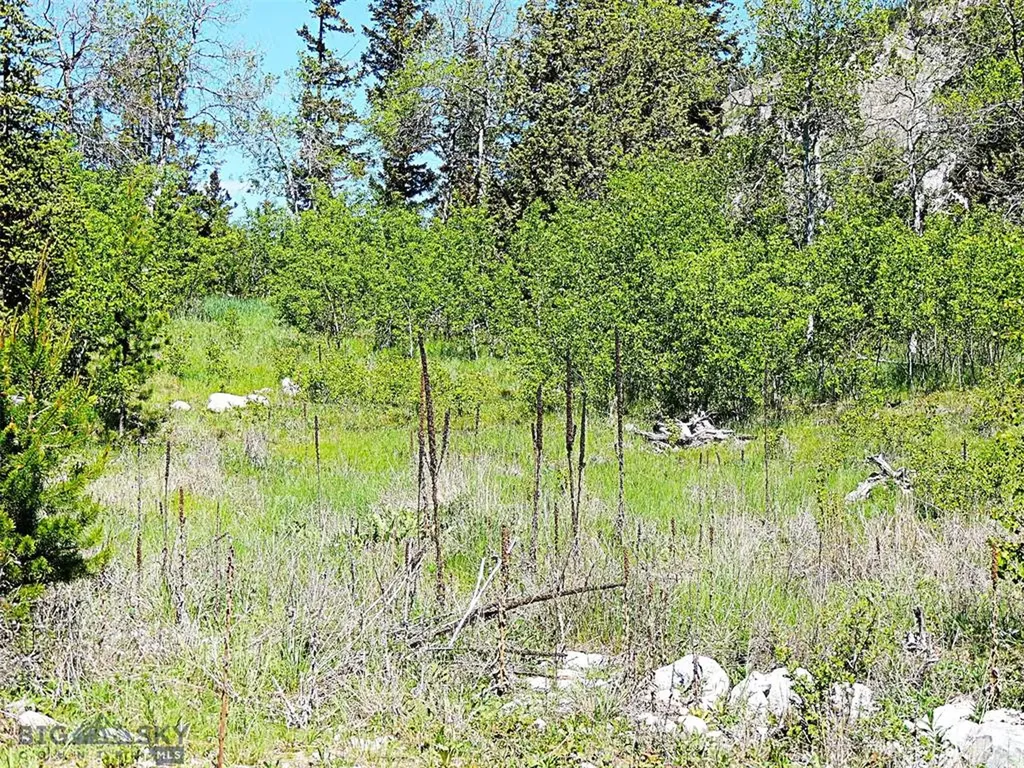 261 Kanduch Road Anaconda MT 59711