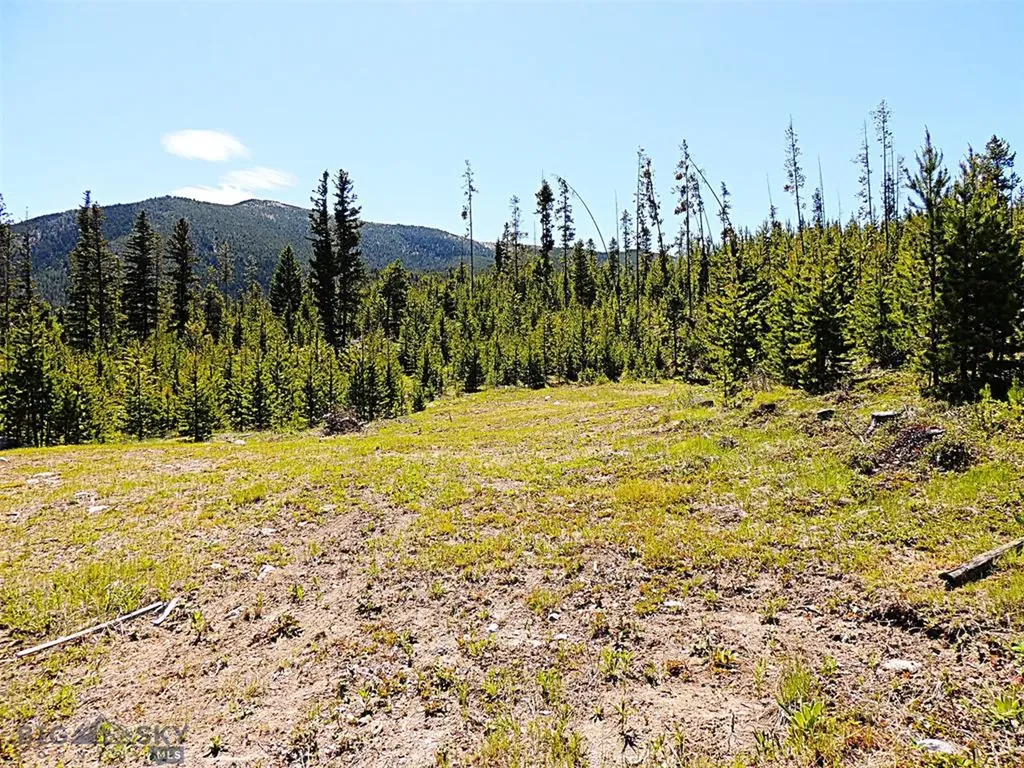 261 Kanduch Road Anaconda MT 59711