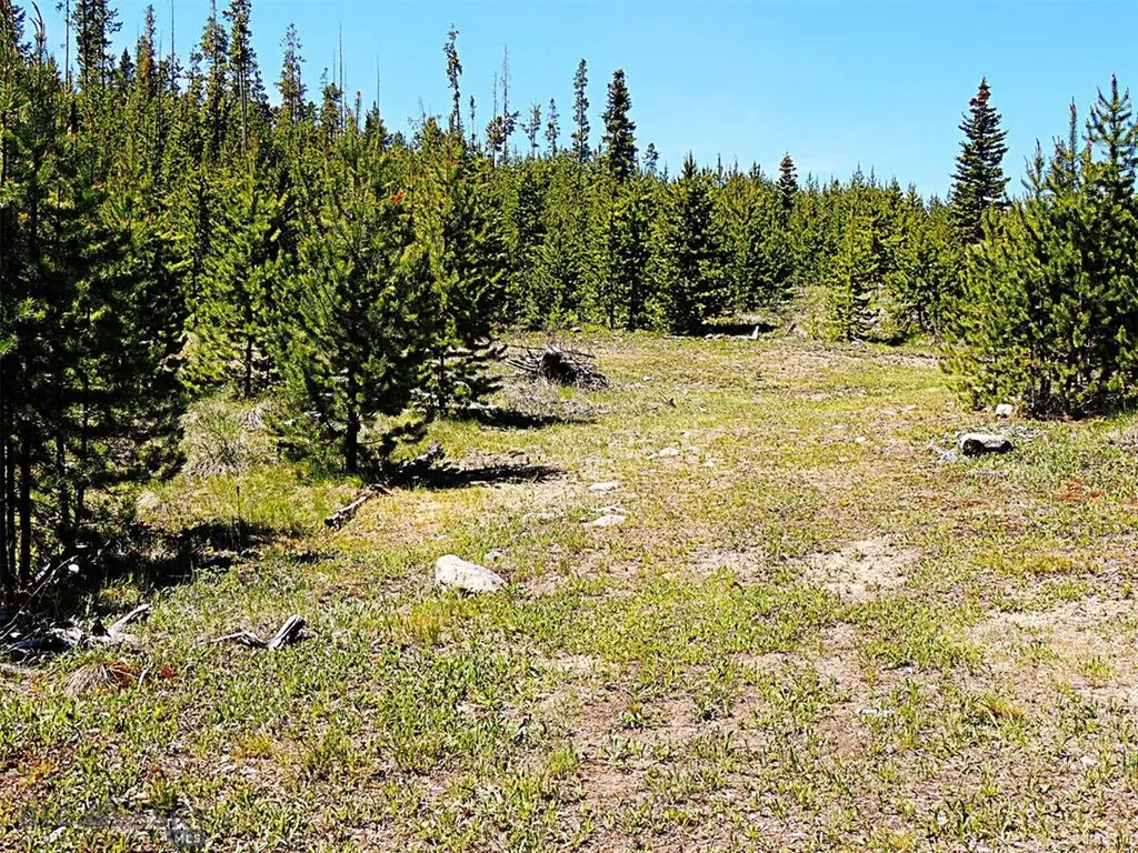 261 Kanduch Road Anaconda MT 59711