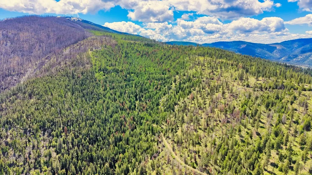 Nhn Bighorn Ranch Plains MT 59859
