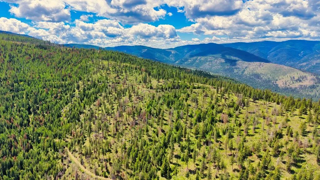 Nhn Bighorn Ranch Plains MT 59859