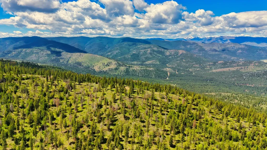 Nhn Bighorn Ranch Plains MT 59859