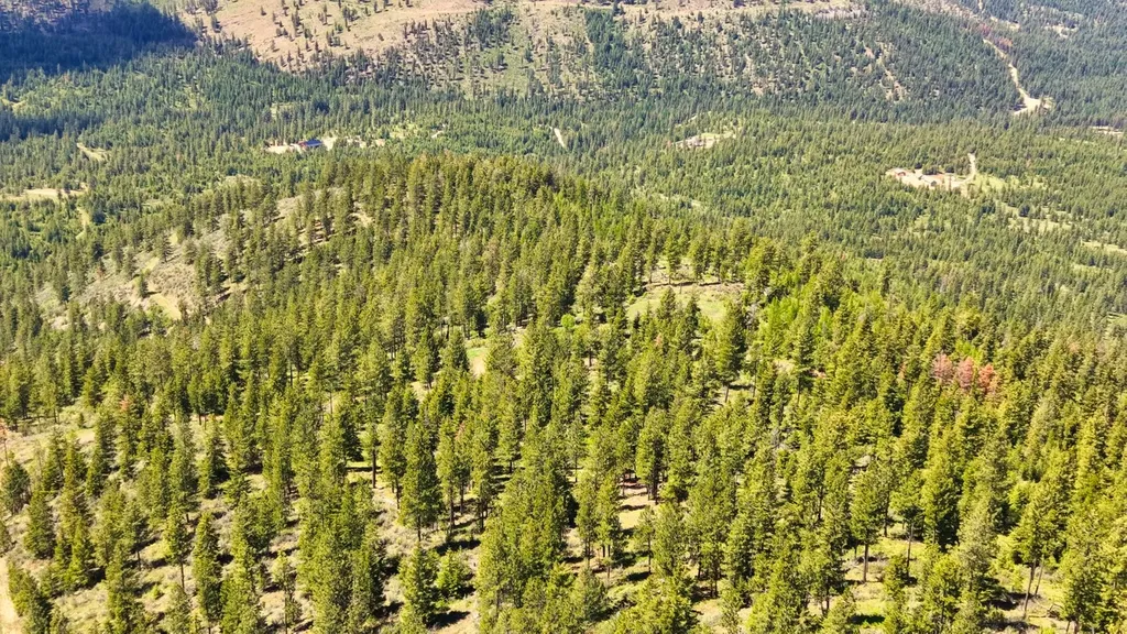 Nhn Bighorn Ranch Plains MT 59859