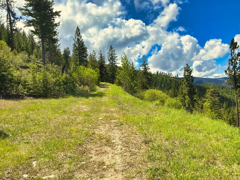 Nhn Bighorn Ranch Plains MT 59859