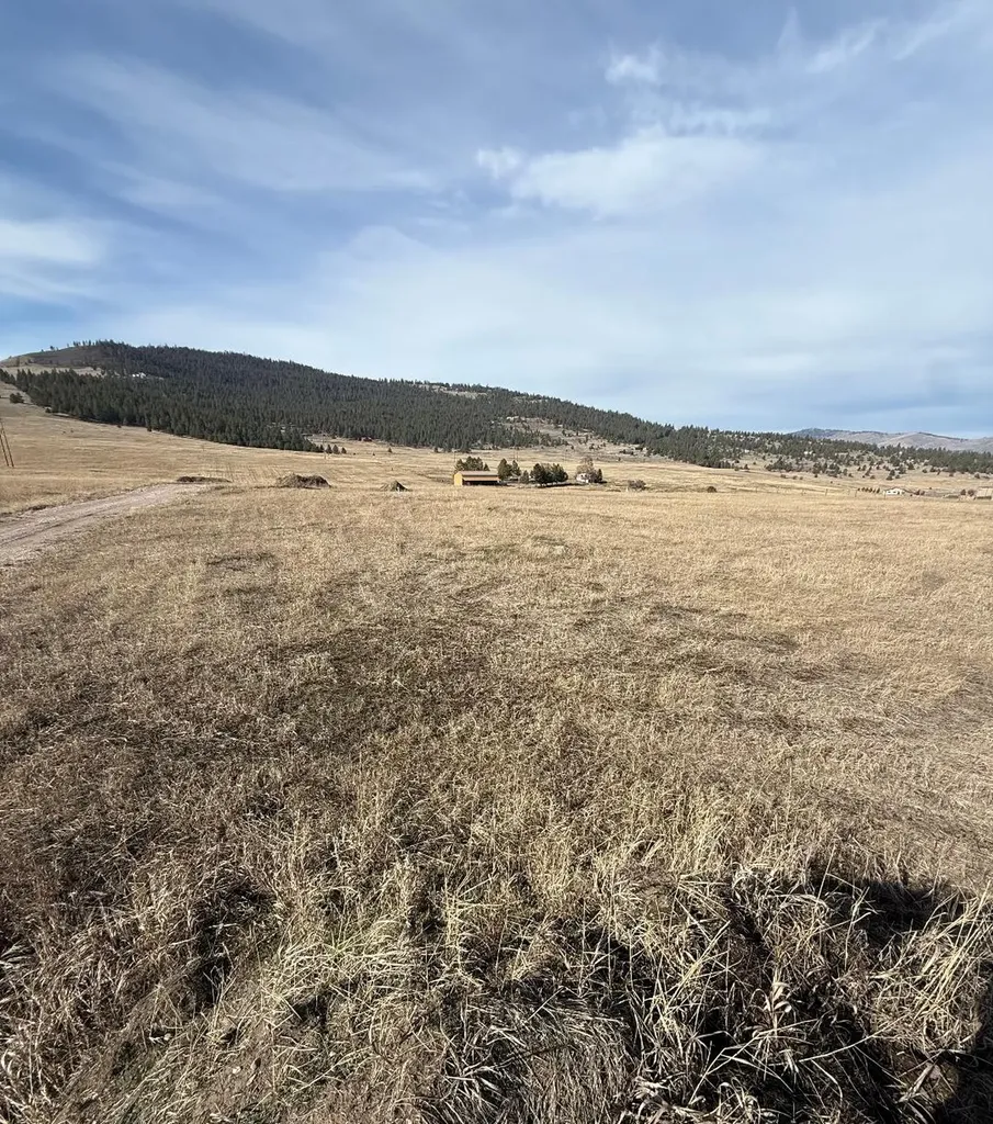 Nhn Walking Horse Lane Big Arm MT 59910