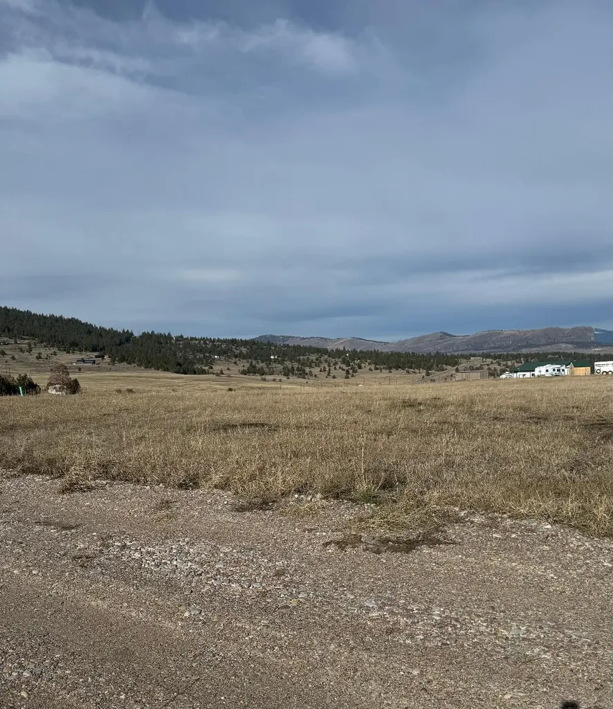 Nhn Walking Horse Lane Big Arm MT 59910