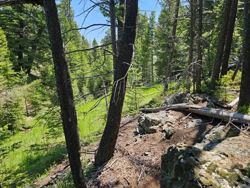 Crow Bar Indian Creek Road Townsend MT 59644