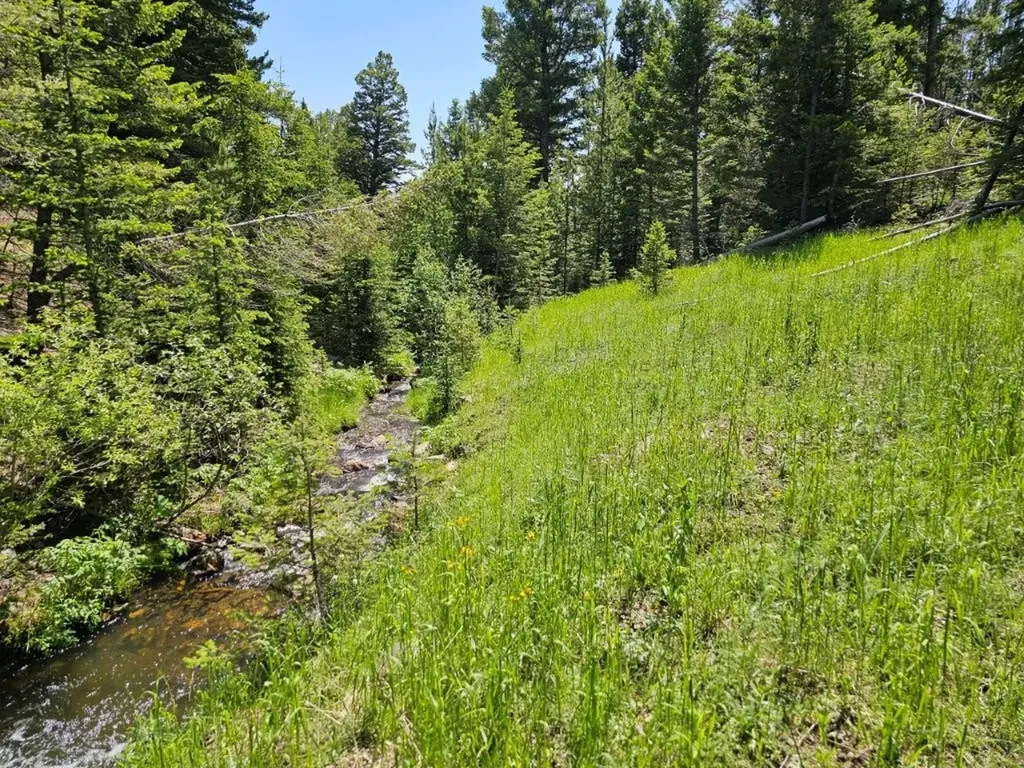 Crow Bar Indian Creek Road Townsend MT 59644