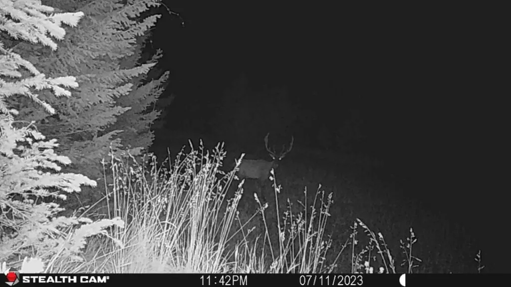 Crow Bar Indian Creek Road Townsend MT 59644