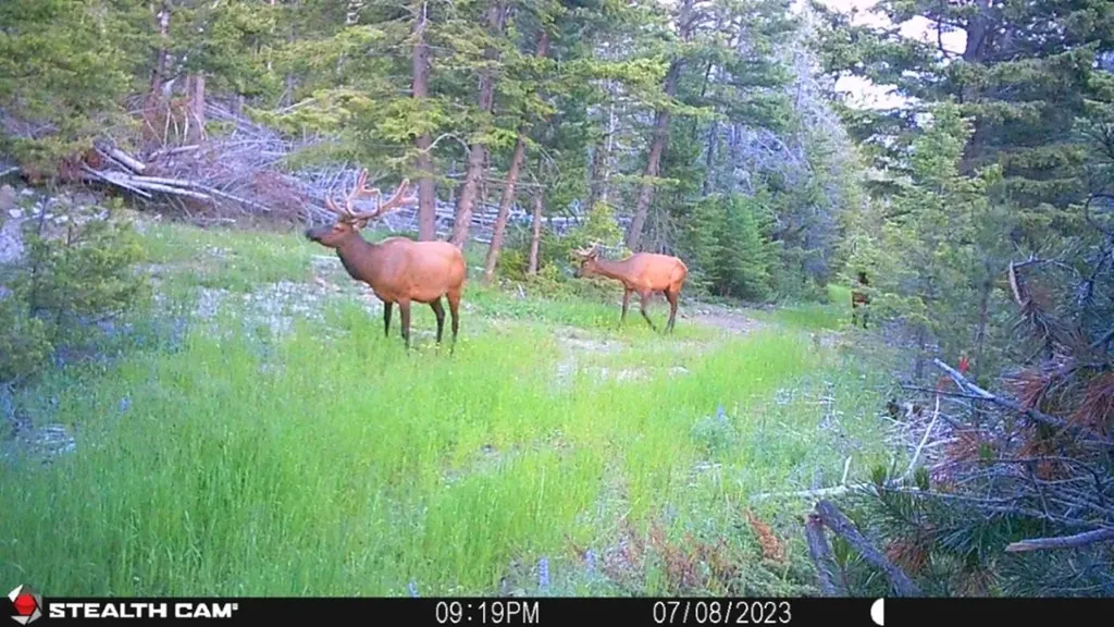 Crow Bar Indian Creek Road Townsend MT 59644